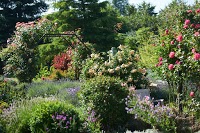 Inverness Botanic Gardens 1064572 Image 1